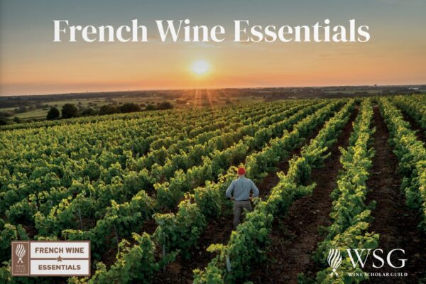 French Wine Essentials (FWE)